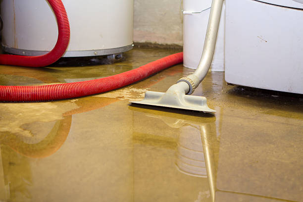 Best Professional water damage repair  in Batesville, AR